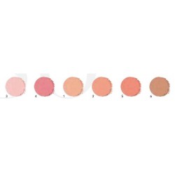 ixima-recambio-refill-fard-blusher-colorete-polvo-color-chart